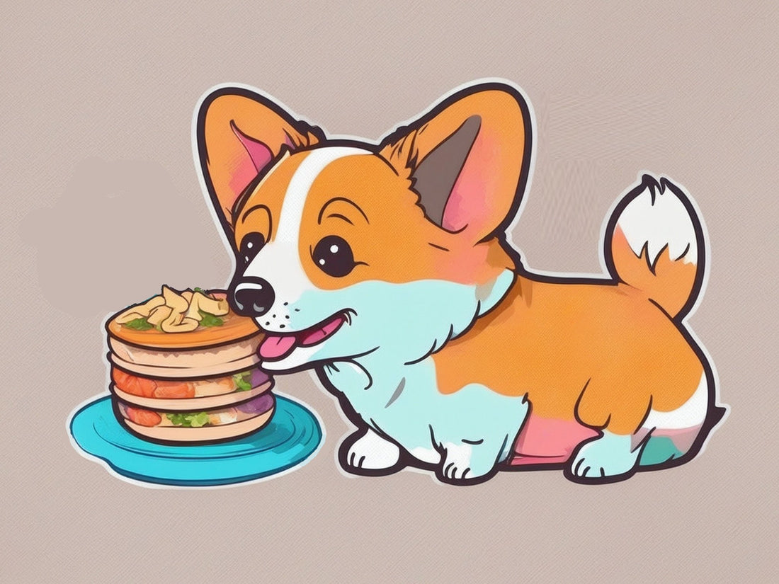 What is the best way to feed a dog that won't eat its own food but will eat human food?