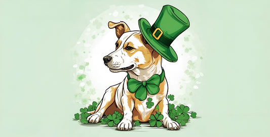 Finding the Pot of Gold: St. Patrick's Day Gifts for Your Dog-Loving Bestie