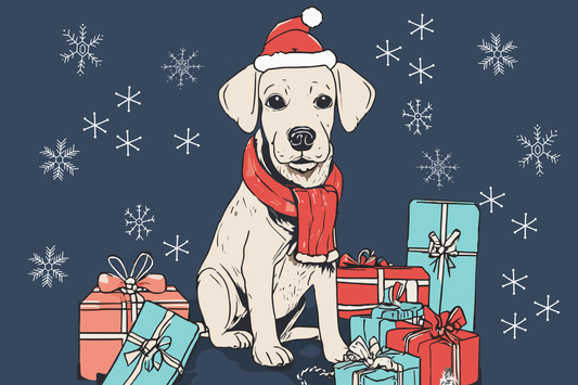 Affordable Christmas Gifts for Dog Lovers