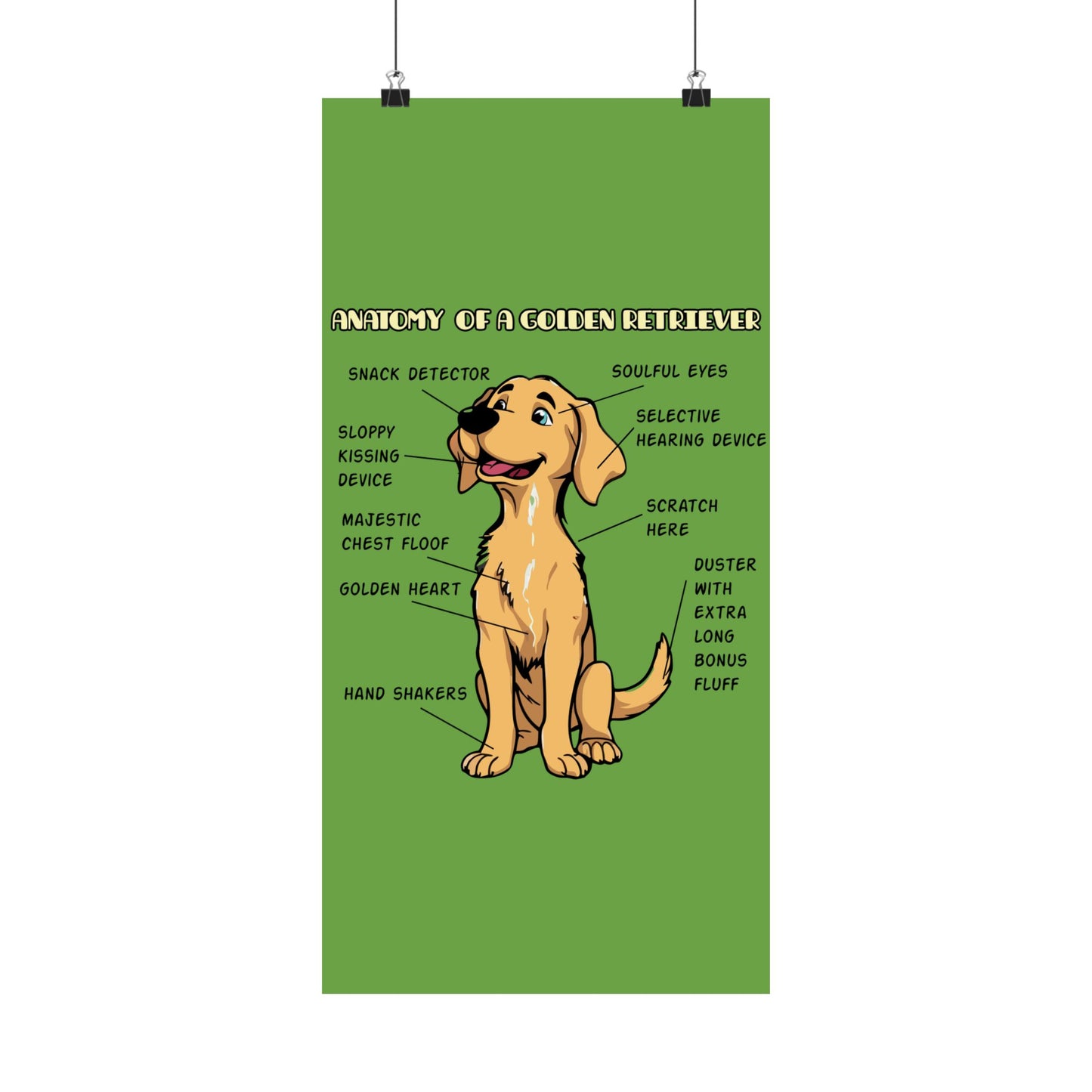 Cute Cartoon Anatomy of a Golden Retriever Posters