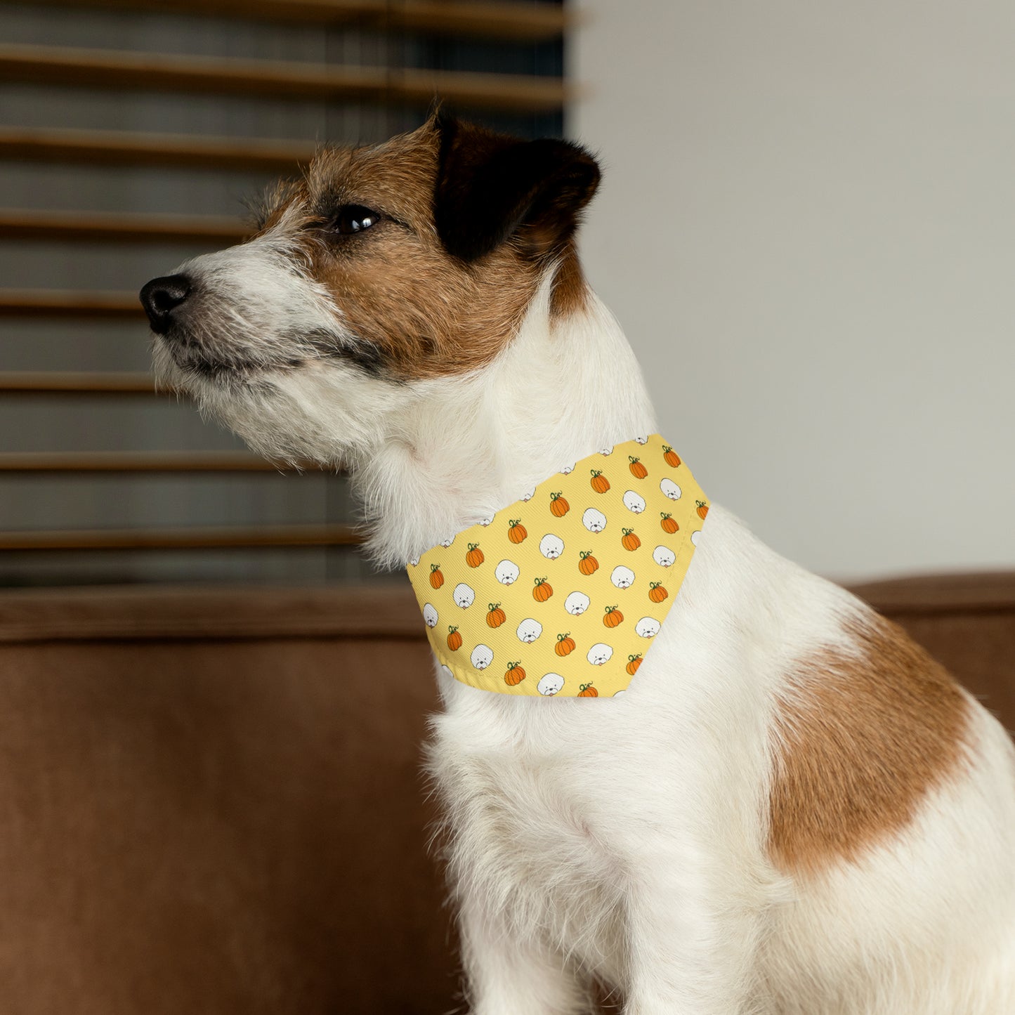 Cheeky Bichon Cute Halloween Dog Pattern Pet Bandana Collar