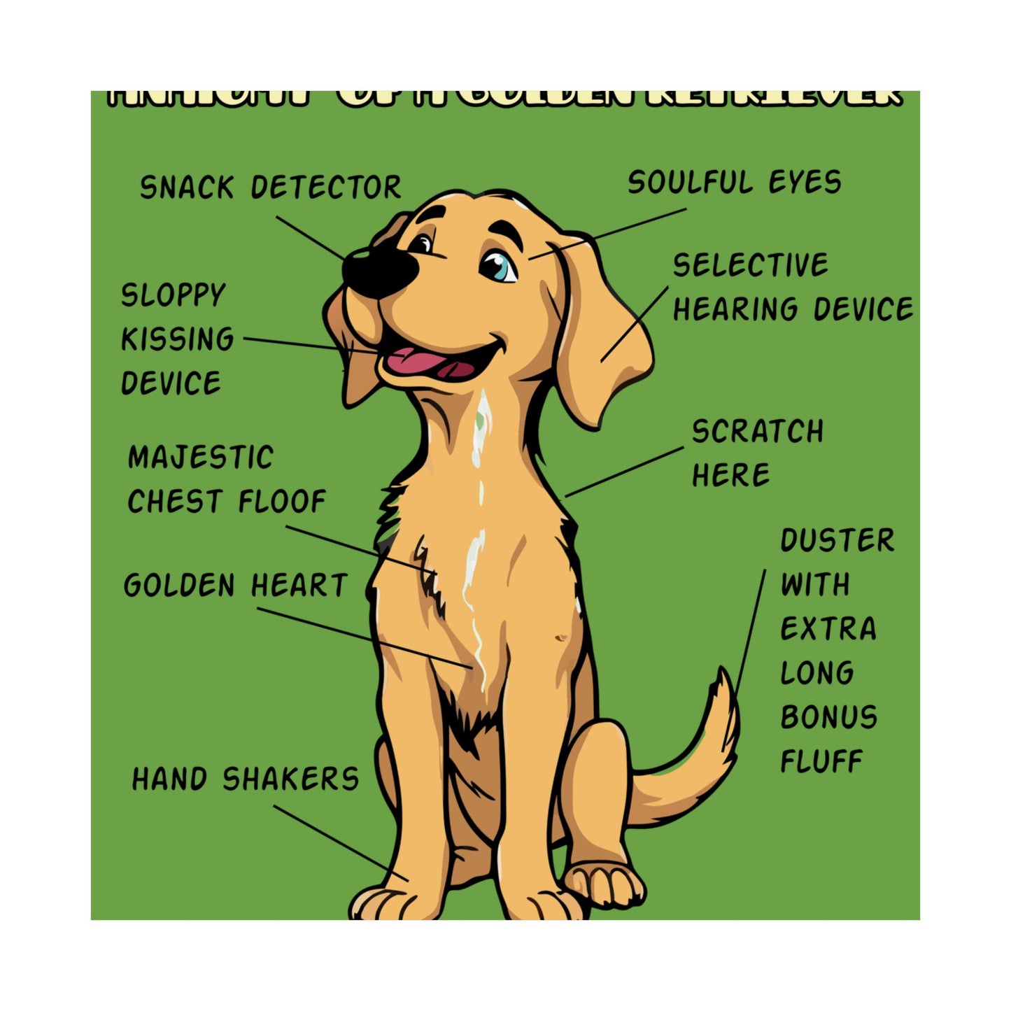 Cute Cartoon Anatomy of a Golden Retriever Posters