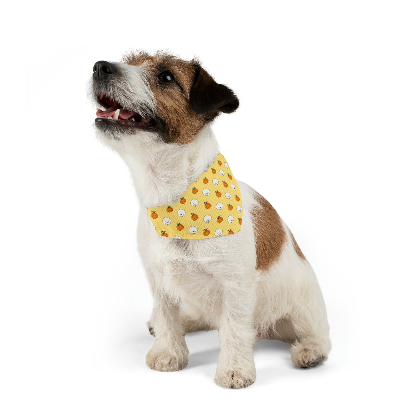 Cheeky Bichon Cute Halloween Dog Pattern Pet Bandana Collar