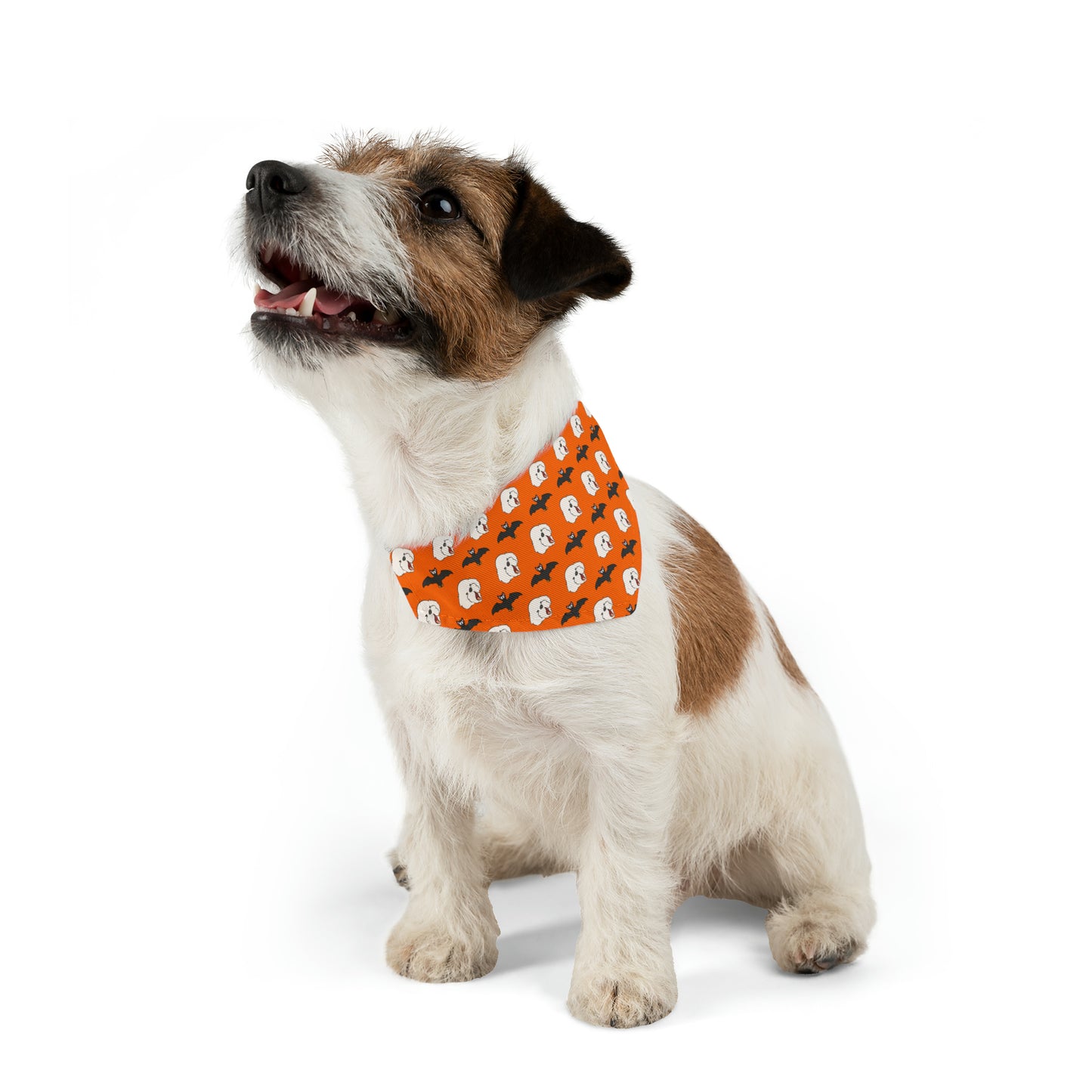 Cheeky Bichon Cute Halloween Dog Pattern Pet Bandana Collar