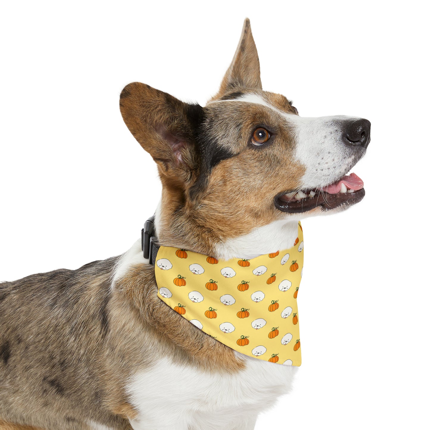 Cheeky Bichon Cute Halloween Dog Pattern Pet Bandana Collar