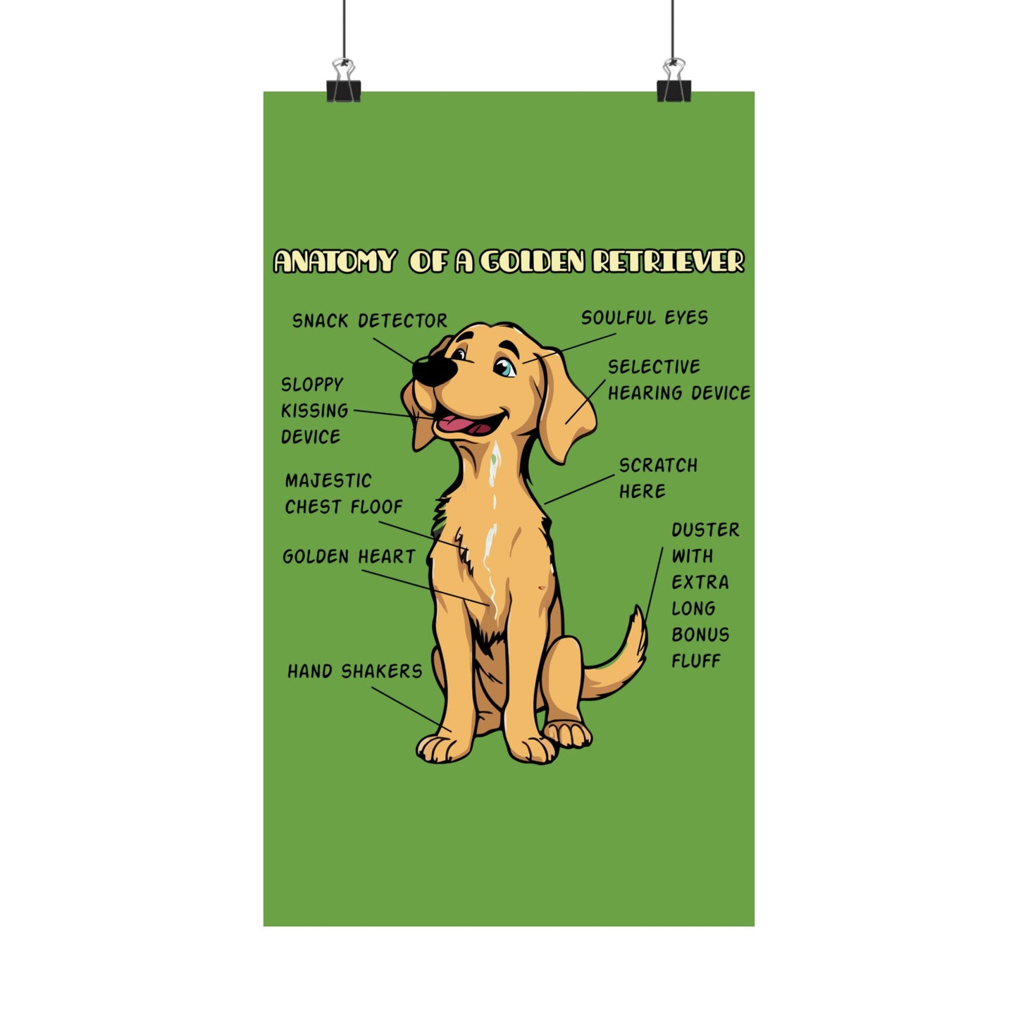 Cute Cartoon Anatomy of a Golden Retriever Posters