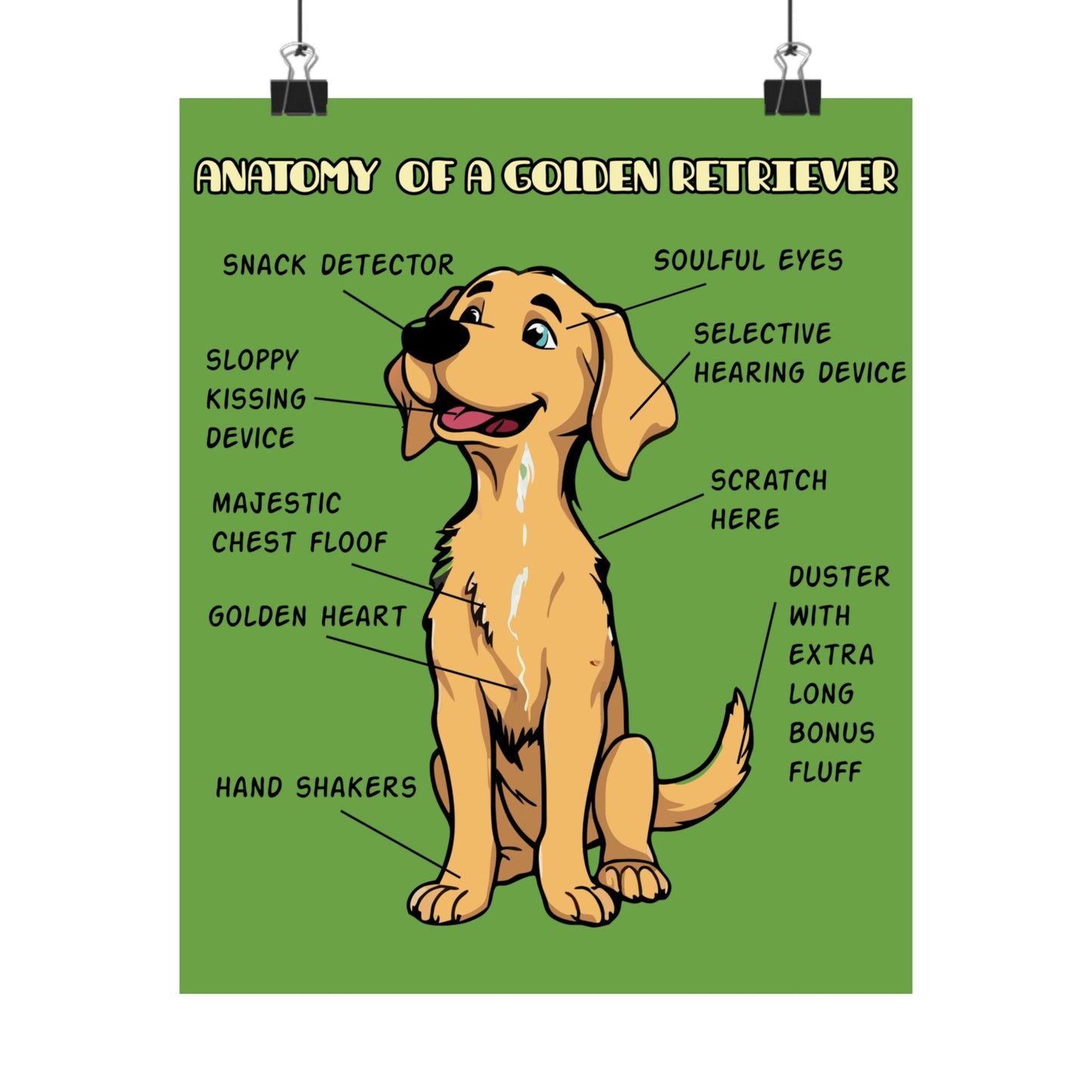 Cute Cartoon Anatomy of a Golden Retriever Posters