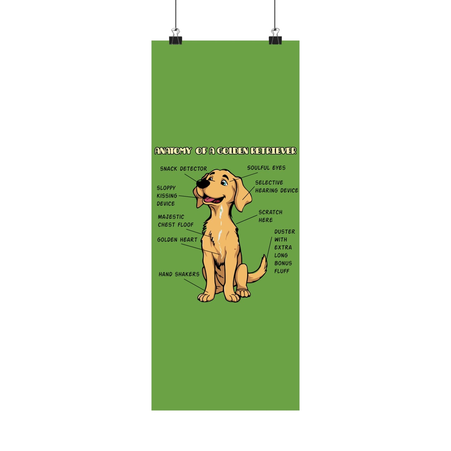 Cute Cartoon Anatomy of a Golden Retriever Posters