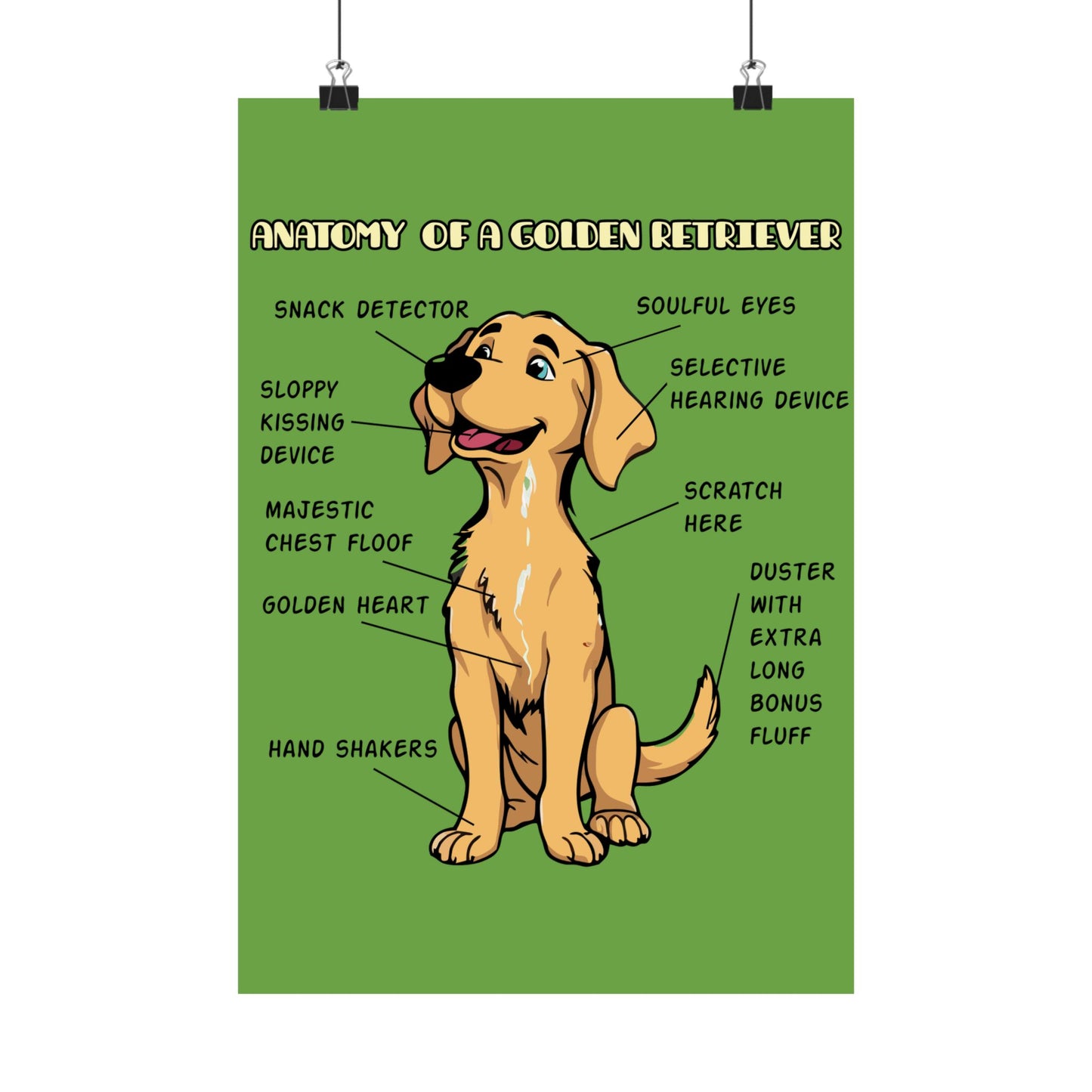 Cute Cartoon Anatomy of a Golden Retriever Posters