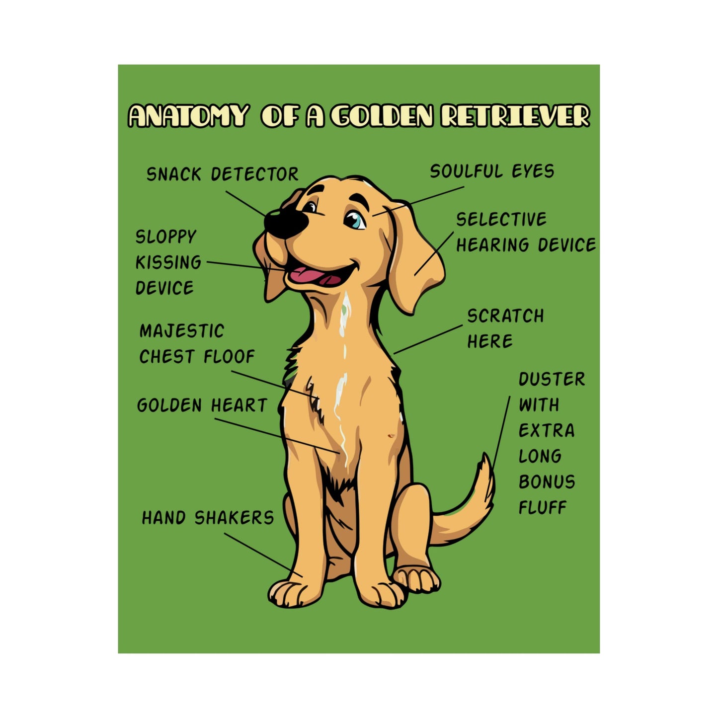 Cute Cartoon Anatomy of a Golden Retriever Posters