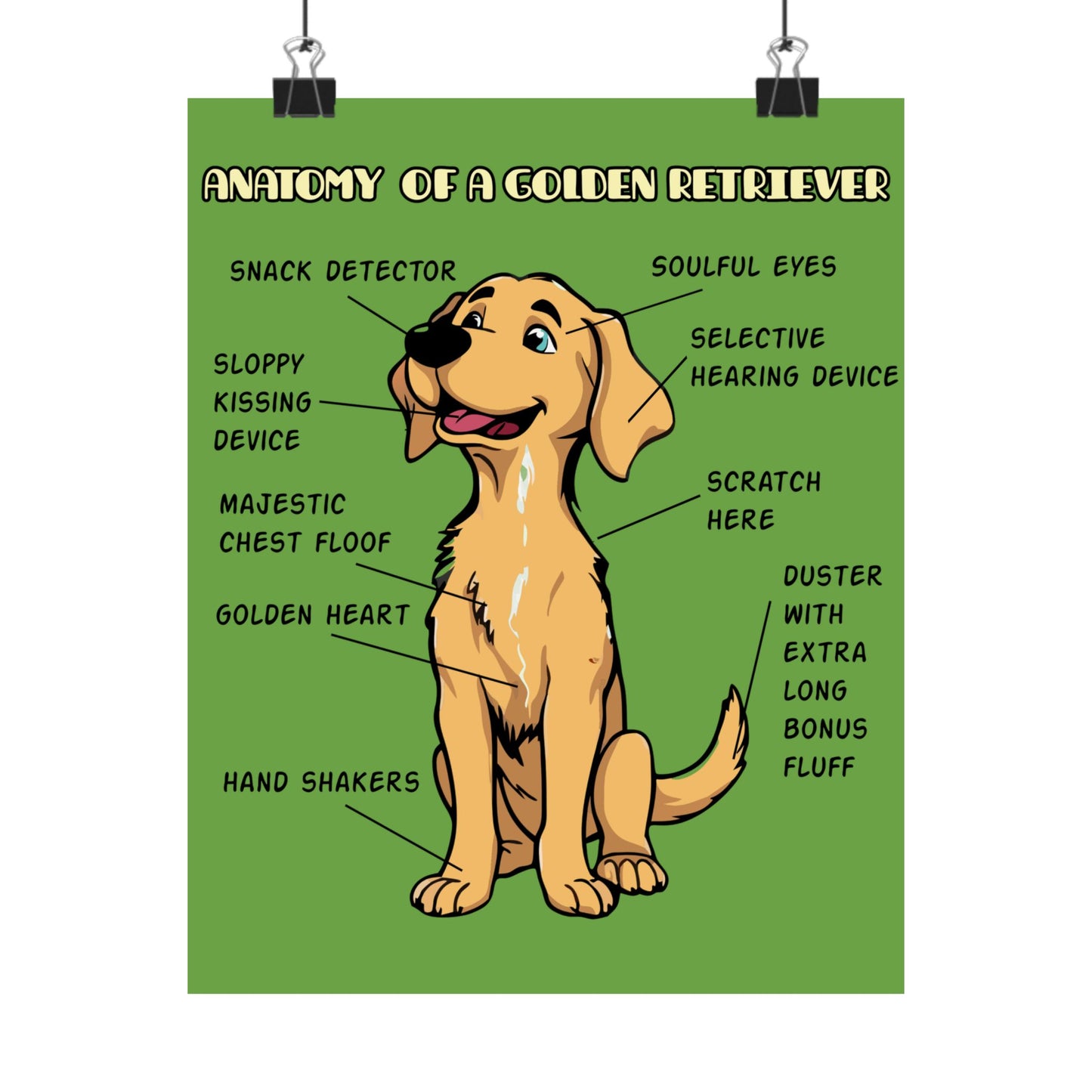 Cute Cartoon Anatomy of a Golden Retriever Posters