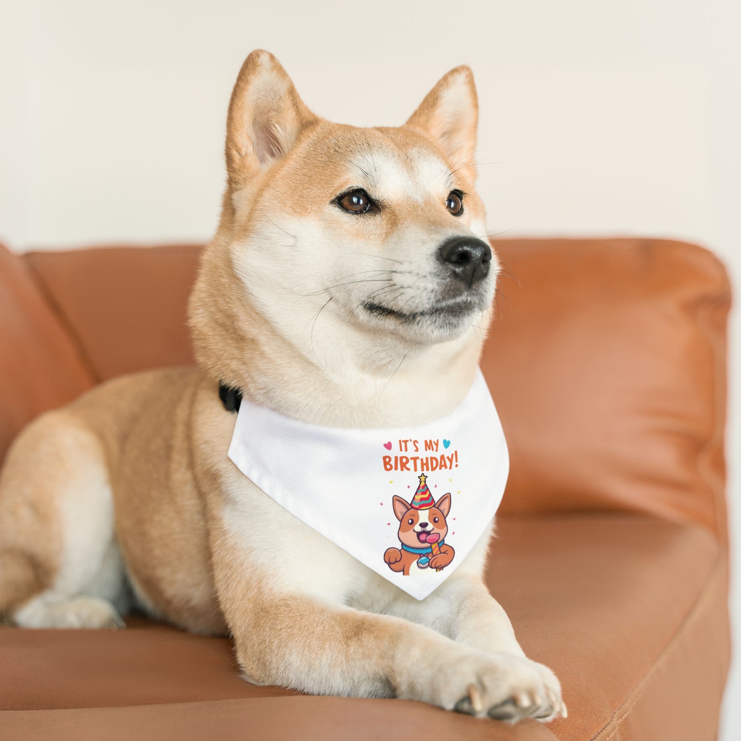 Cute Pet Birthday Bandana Collar