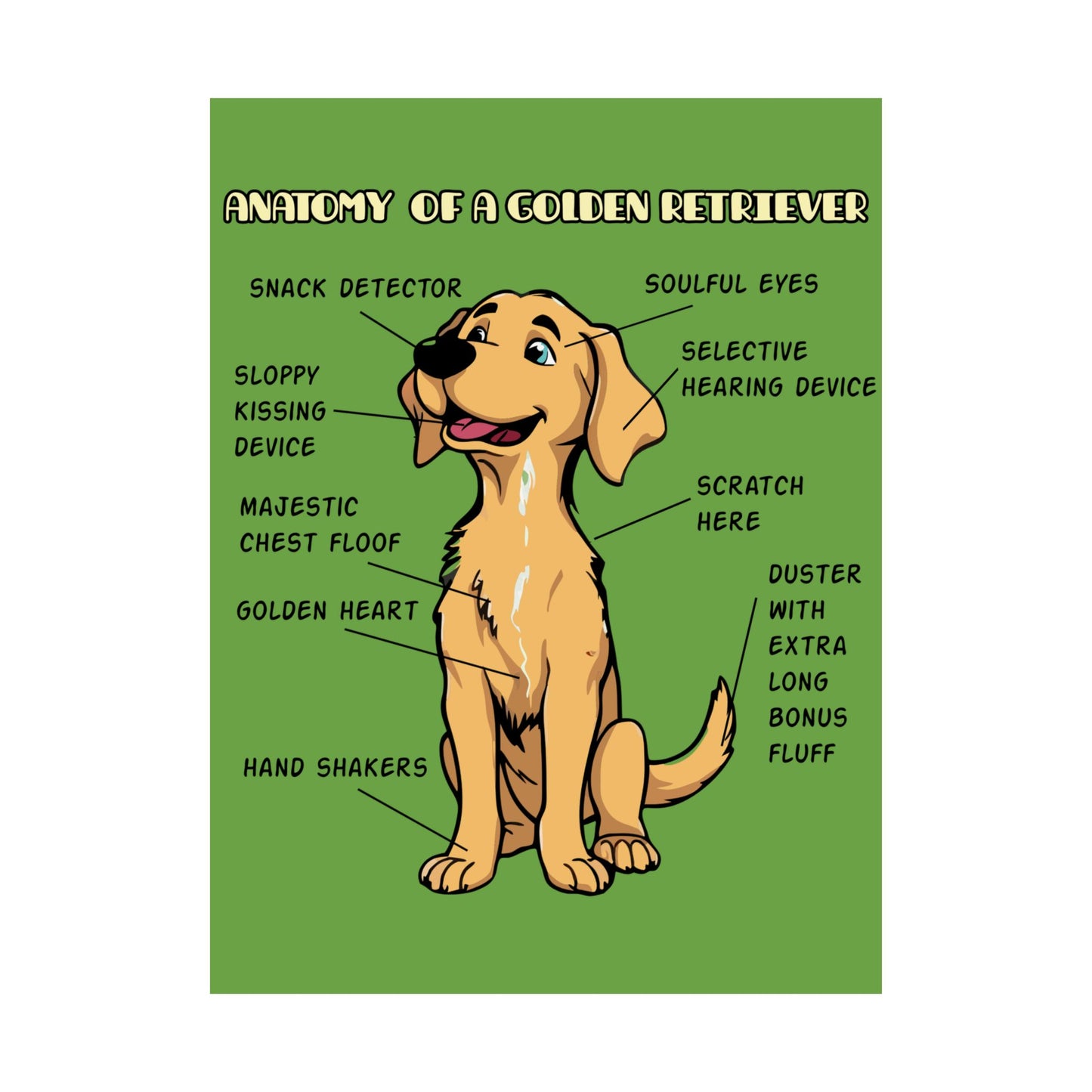 Cute Cartoon Anatomy of a Golden Retriever Posters