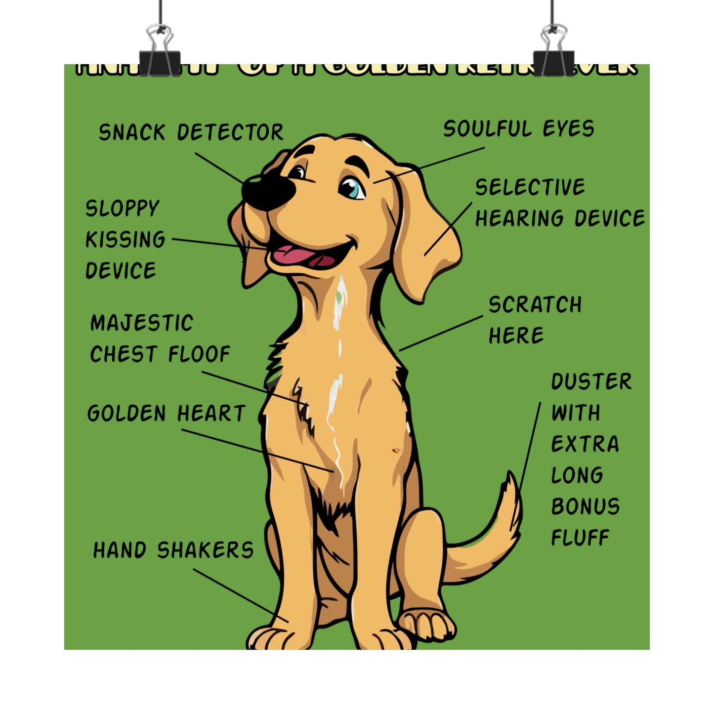 Cute Cartoon Anatomy of a Golden Retriever Posters