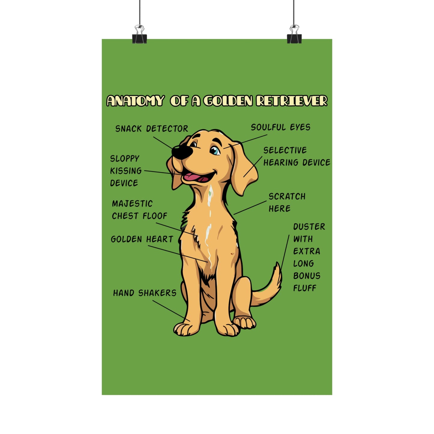 Cute Cartoon Anatomy of a Golden Retriever Posters