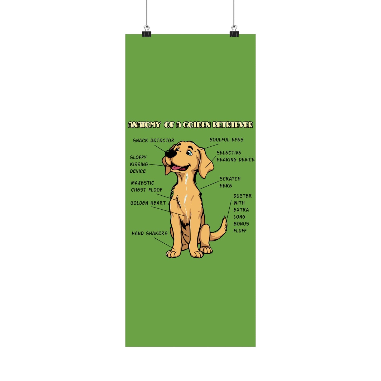 Cute Cartoon Anatomy of a Golden Retriever Posters