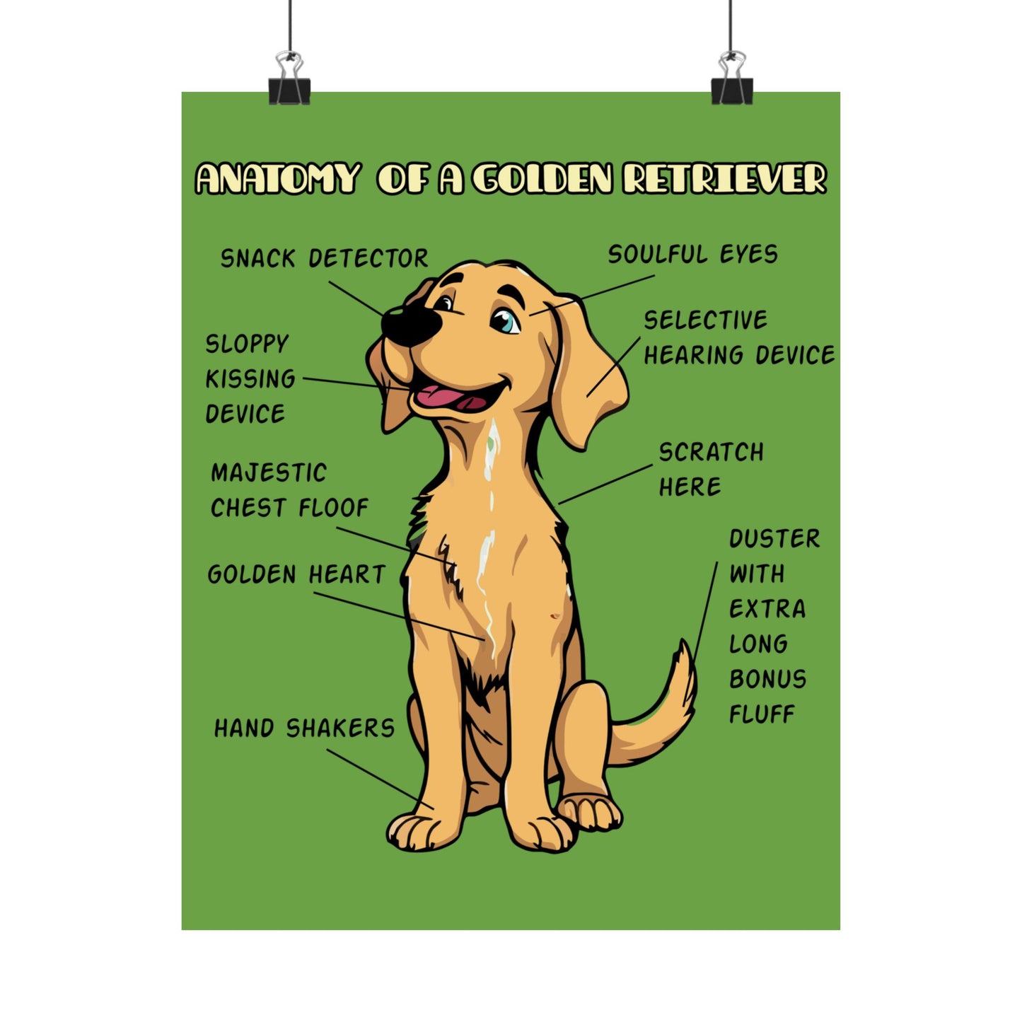 Cute Cartoon Anatomy of a Golden Retriever Posters