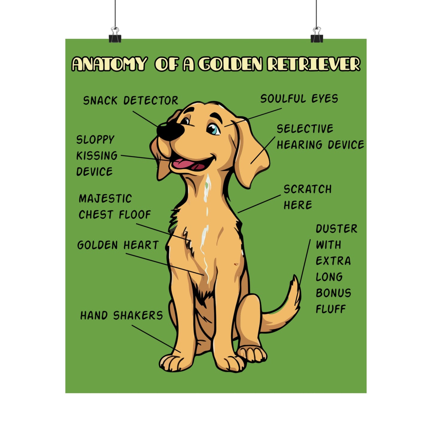 Cute Cartoon Anatomy of a Golden Retriever Posters