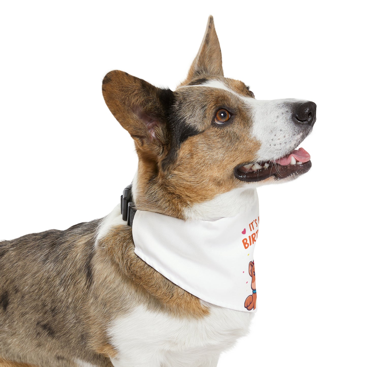 Cute Pet Birthday Bandana Collar