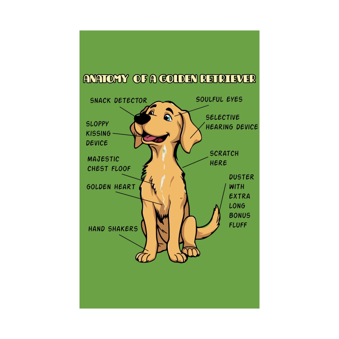 Cute Cartoon Anatomy of a Golden Retriever Posters