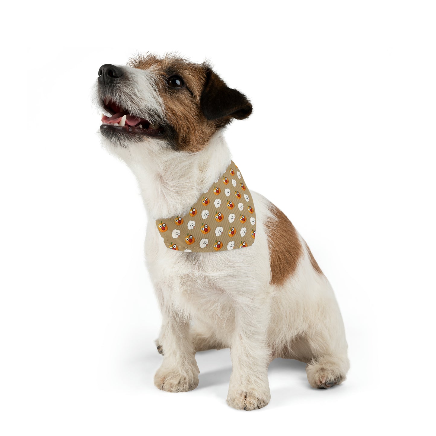 Cheeky Bichon Cute Halloween Dog Pattern Pet Bandana Collar