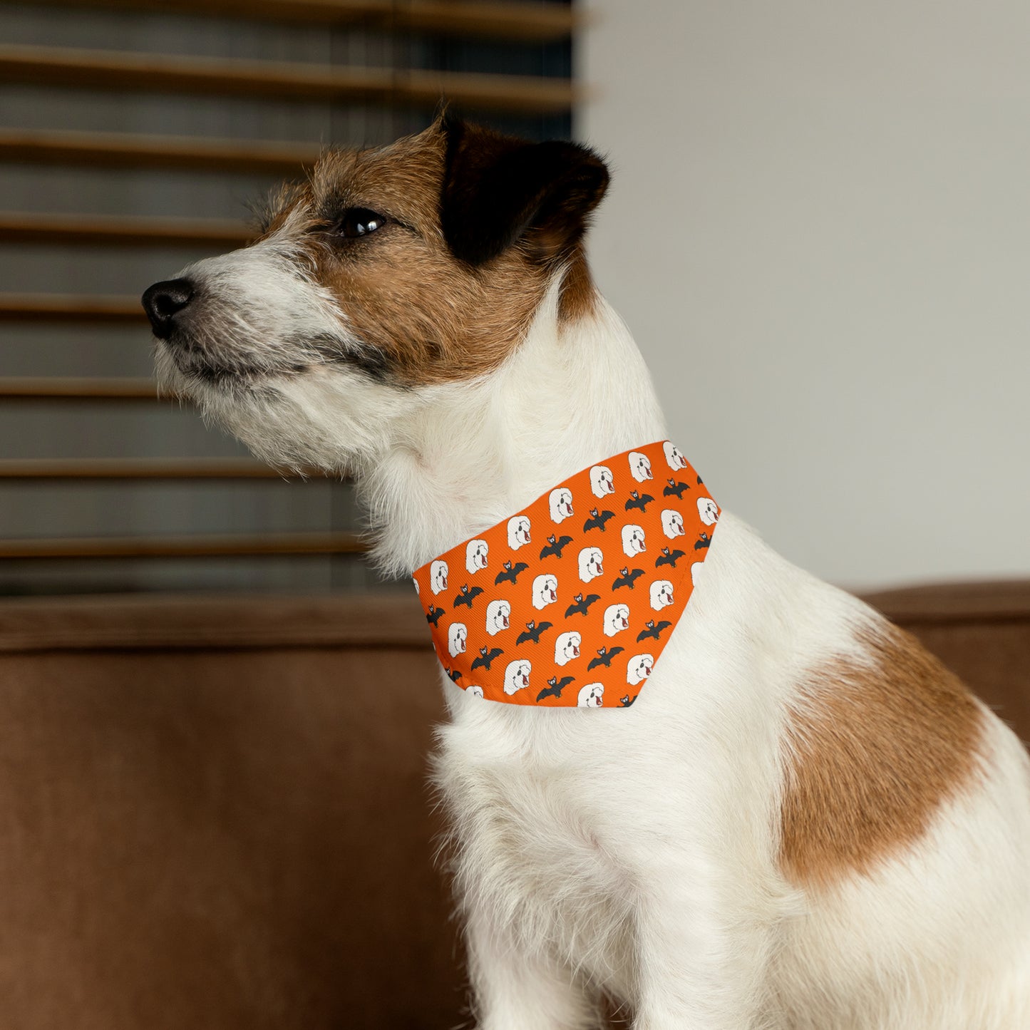 Cheeky Bichon Cute Halloween Dog Pattern Pet Bandana Collar