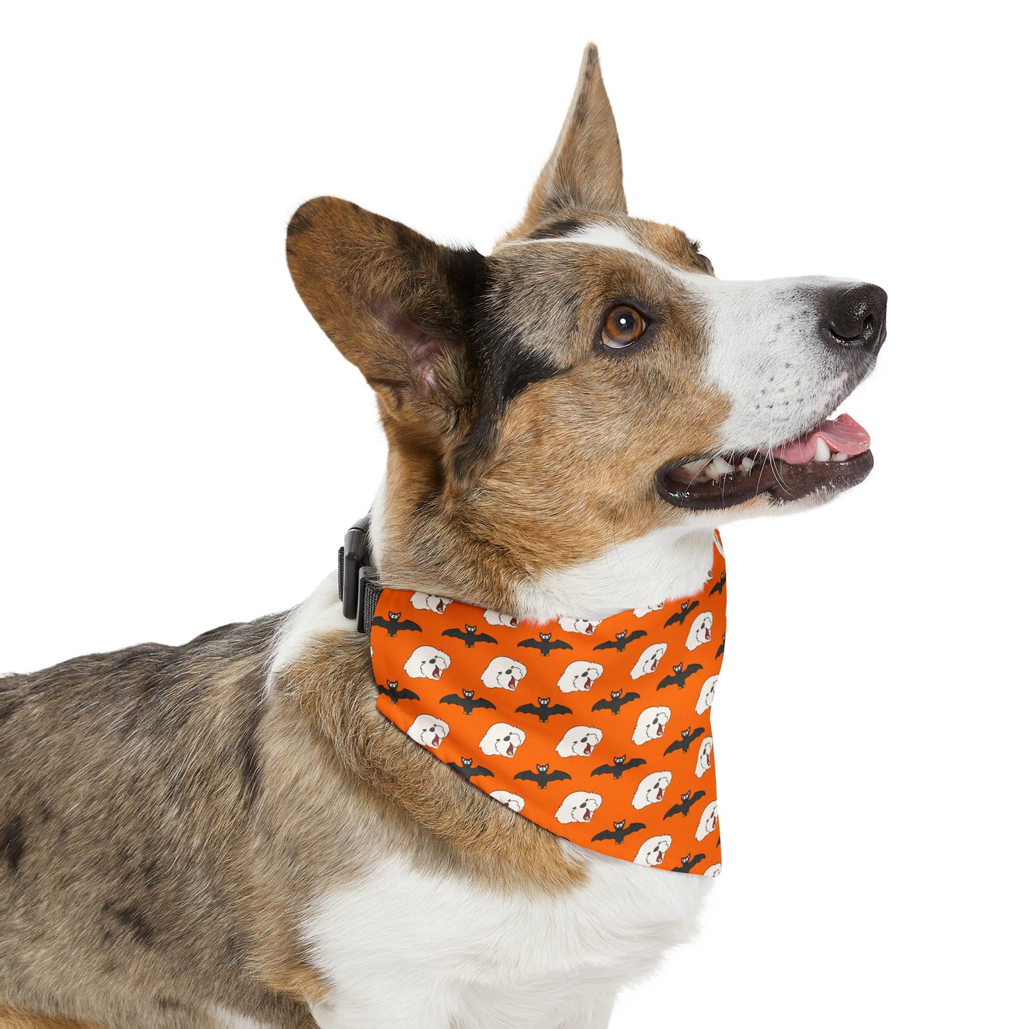 Cheeky Bichon Cute Halloween Dog Pattern Pet Bandana Collar