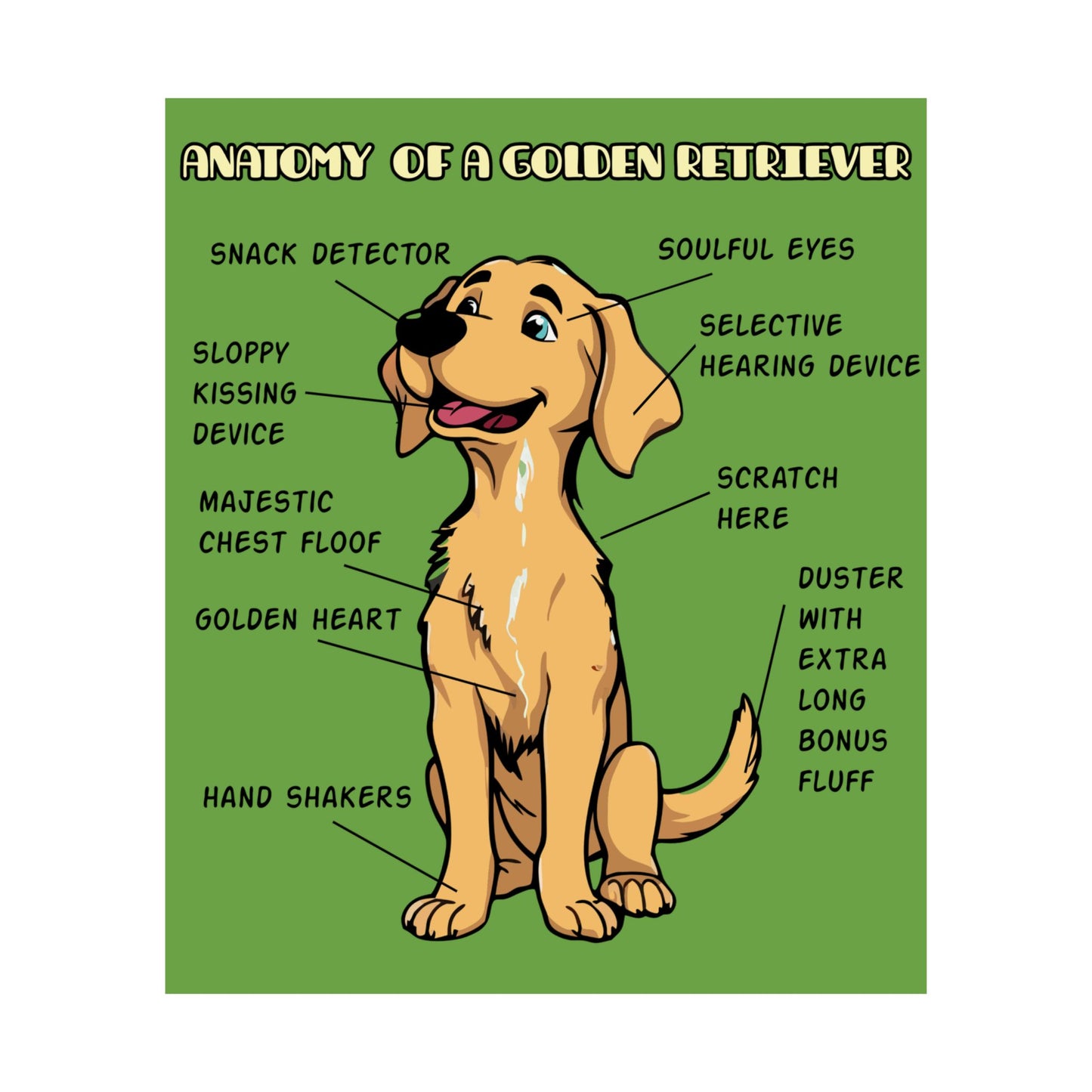 Cute Cartoon Anatomy of a Golden Retriever Posters