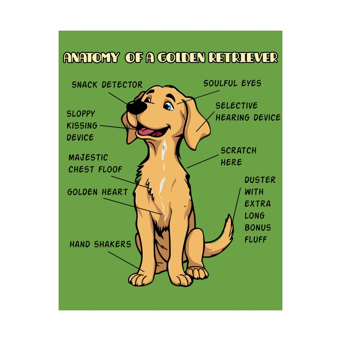 Cute Cartoon Anatomy of a Golden Retriever Posters