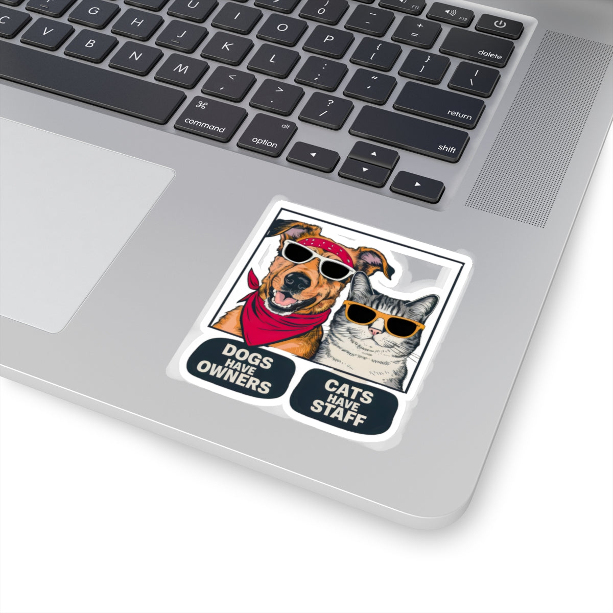 Cute Funny Dogs Have Owners Cats Have Staff Meme  Kiss-cut Stickers