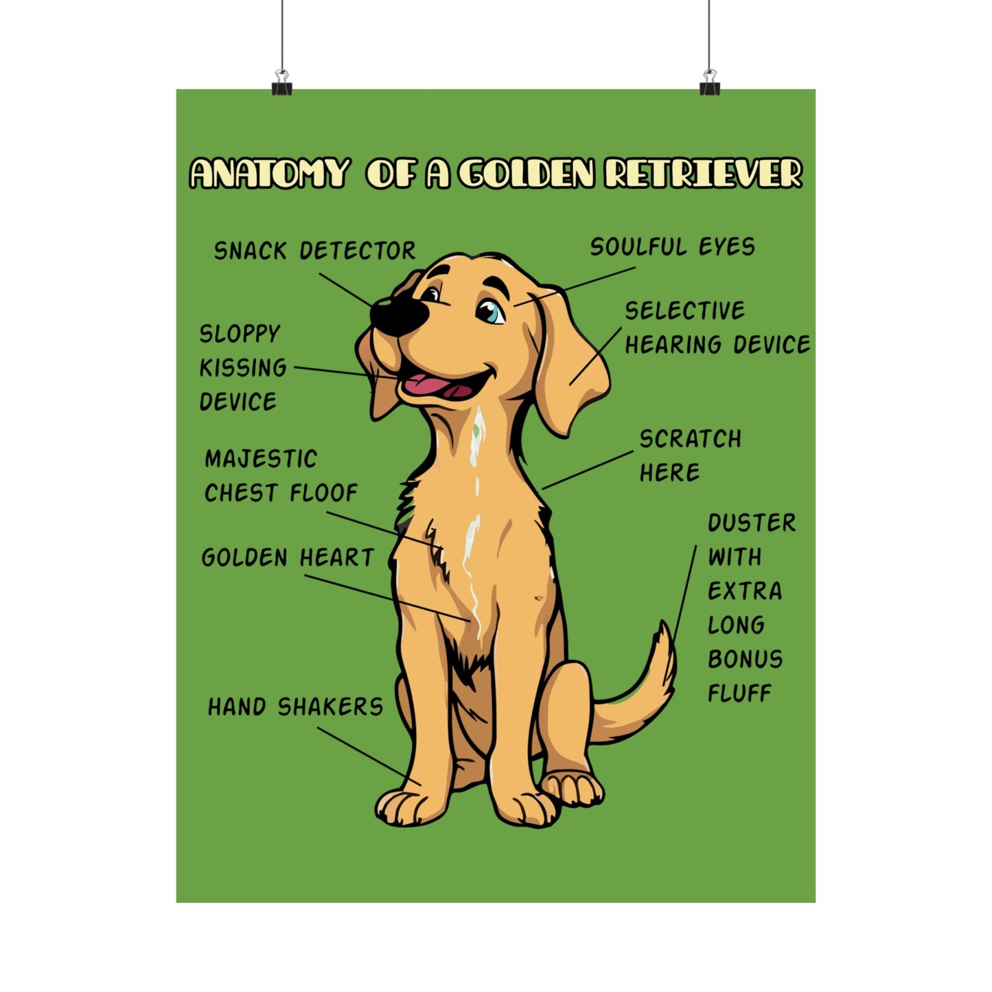 Cute Cartoon Anatomy of a Golden Retriever Posters