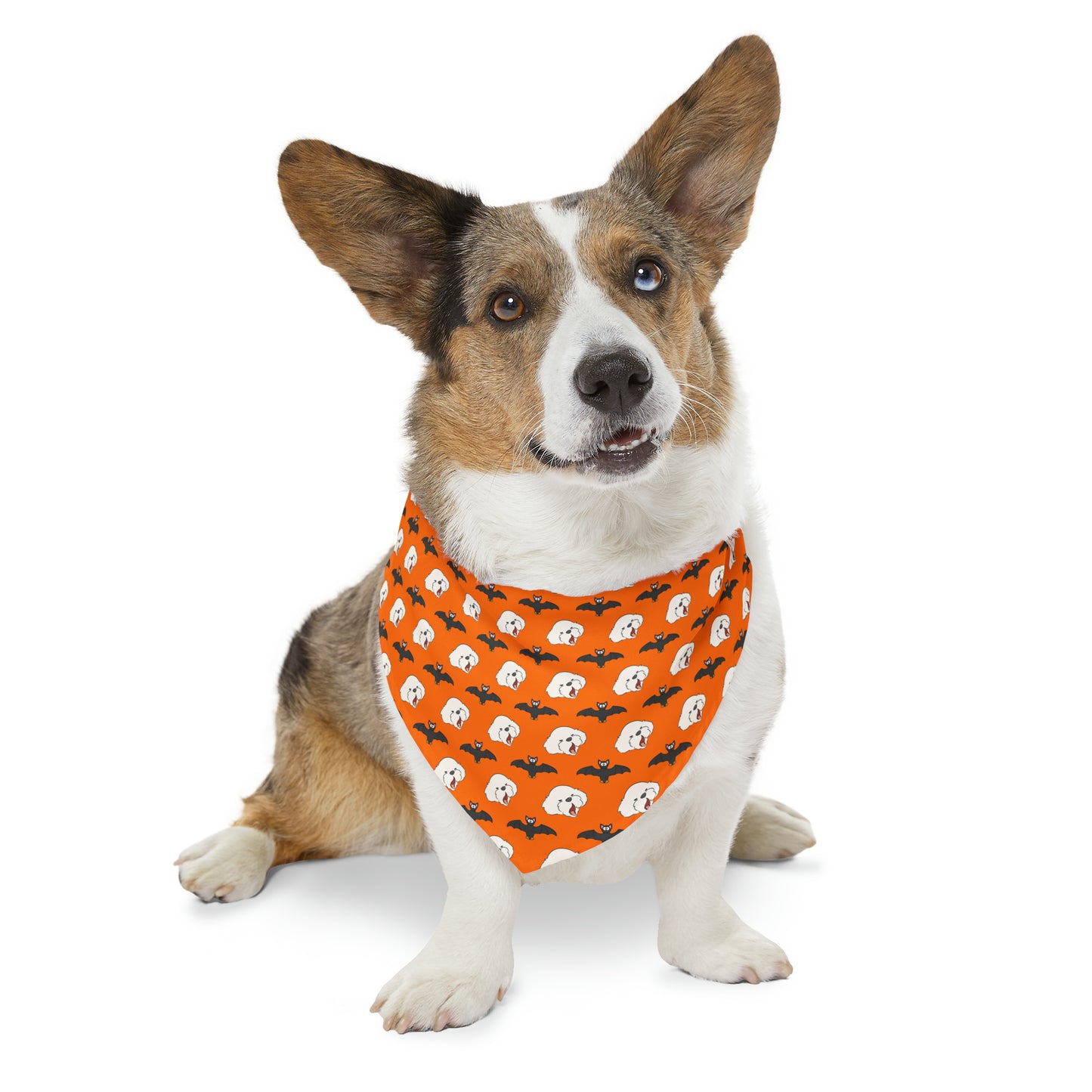 Cheeky Bichon Cute Halloween Dog Pattern Pet Bandana Collar