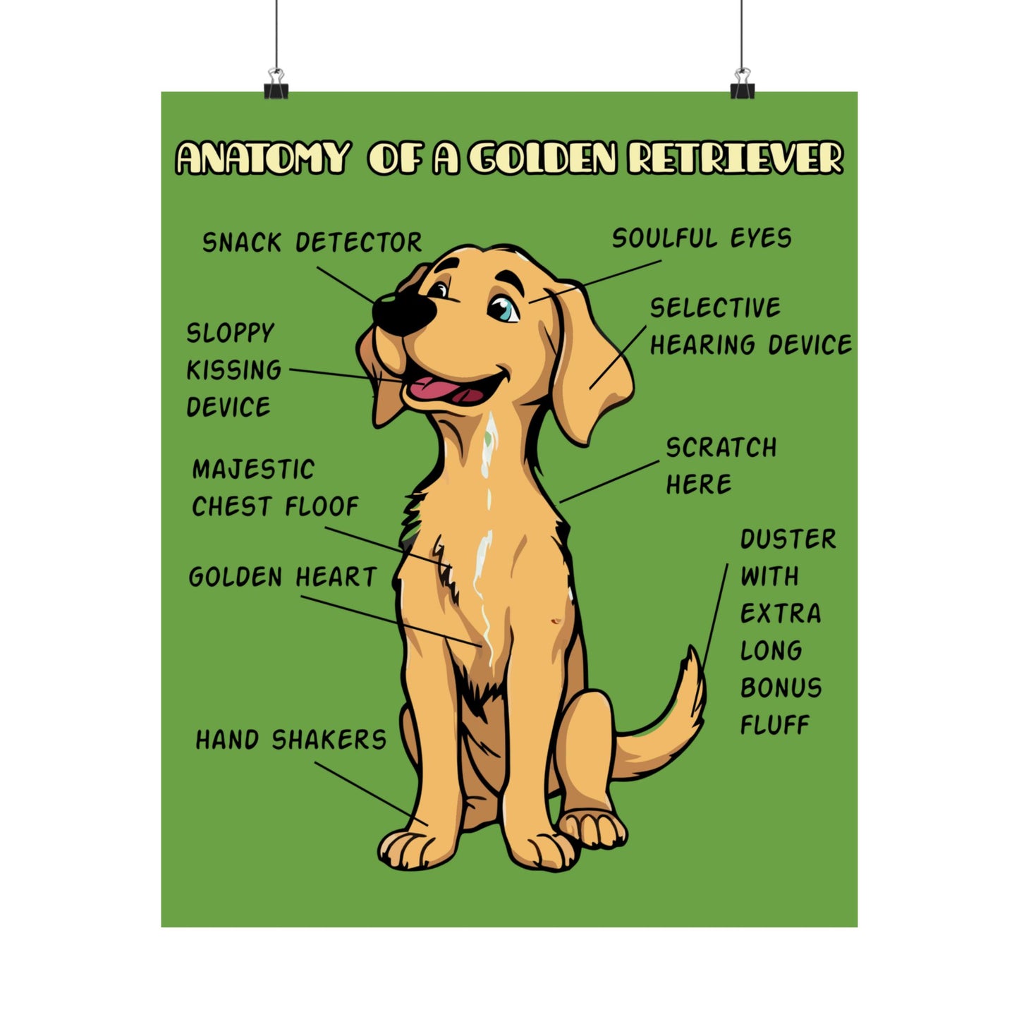 Cute Cartoon Anatomy of a Golden Retriever Posters