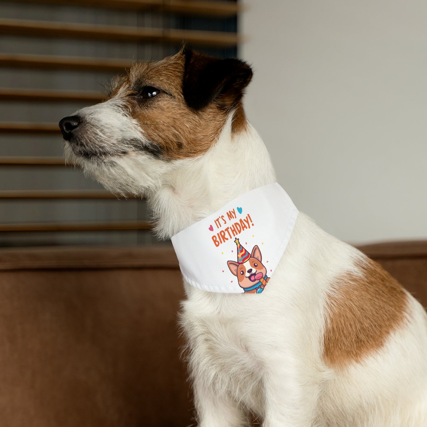 Cute Pet Birthday Bandana Collar