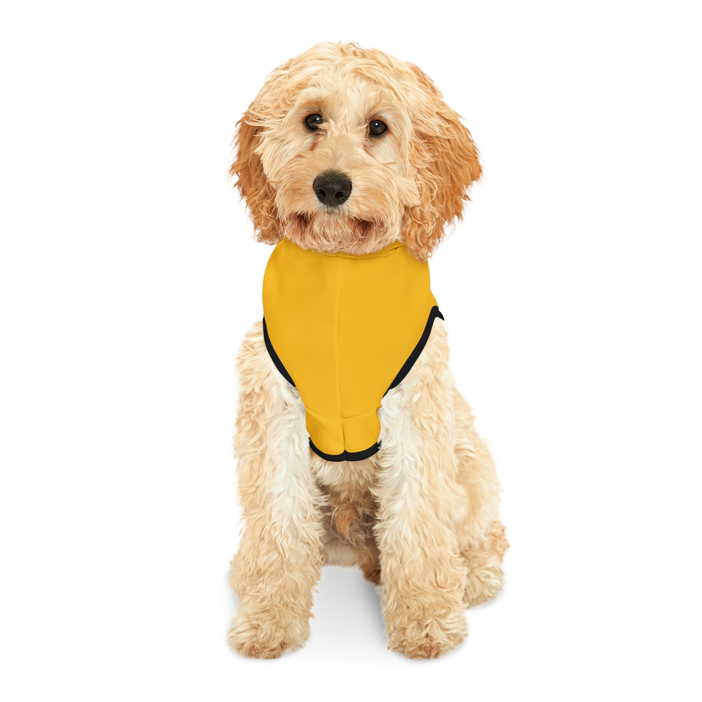 Merry Dogmas Paw Print Pet Hoodie