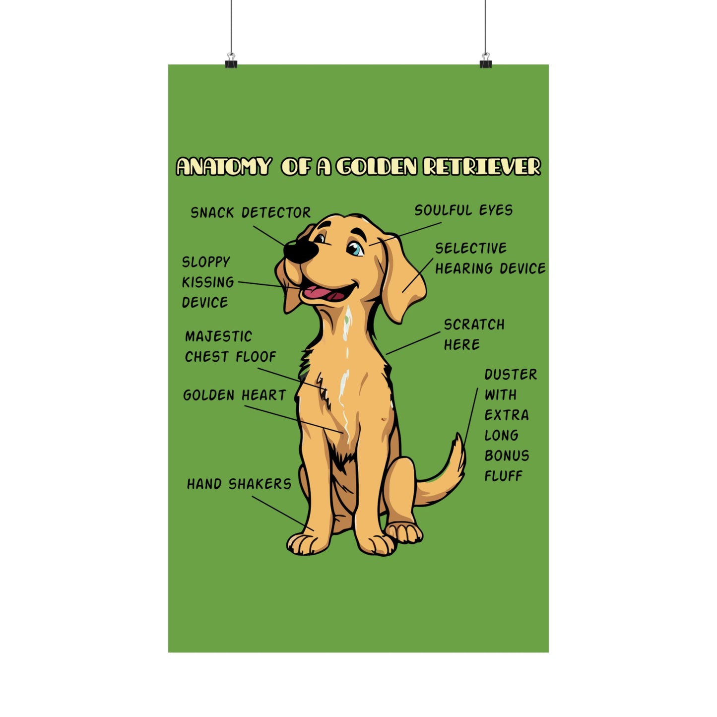 Cute Cartoon Anatomy of a Golden Retriever Posters